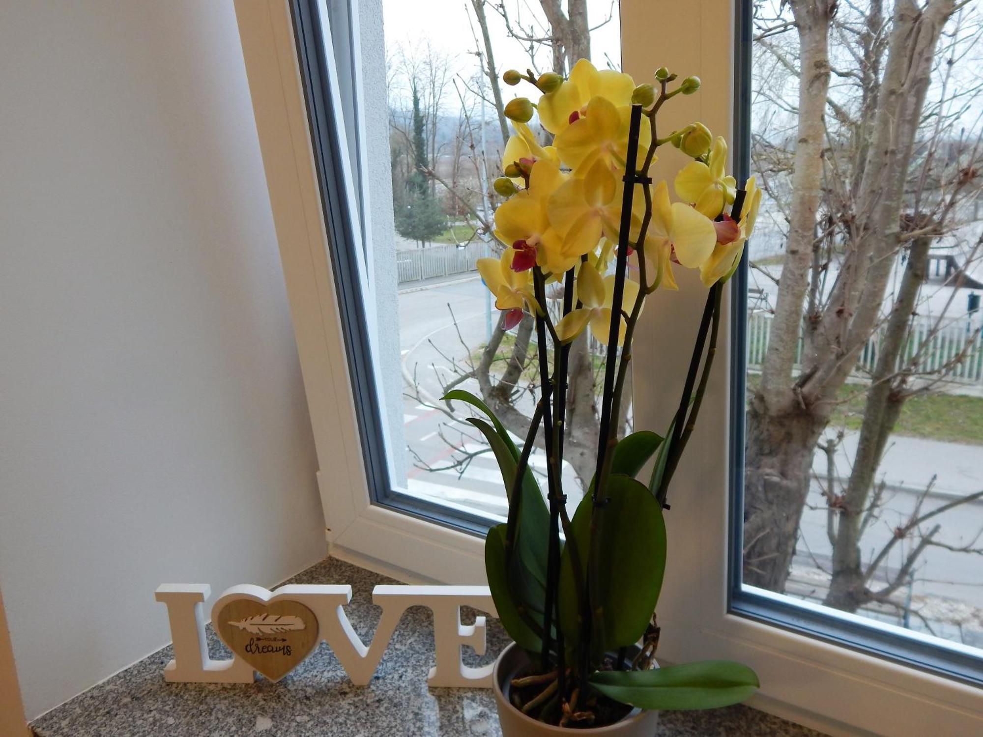 Guesthouse Pr'Sefu Brežice Rum bild